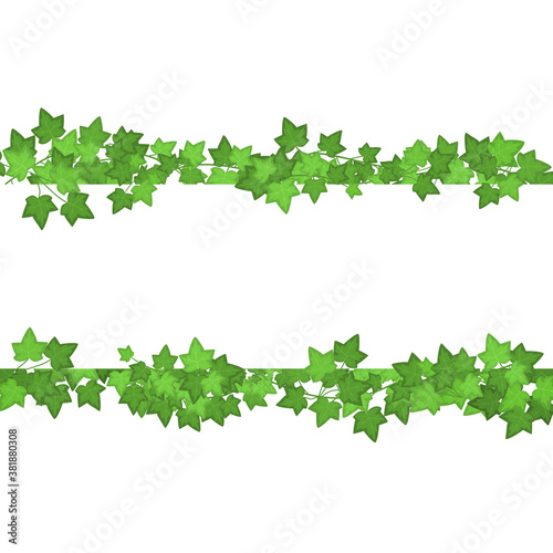 Ivy Green Leaves Different Types Set. Vector