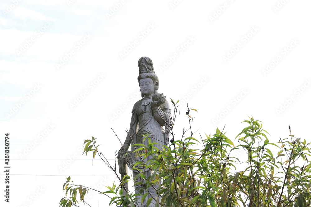 Fototapeta premium 観音様