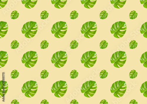 Seamless pattern with tropical green monstera leaves isolated on beige background.
