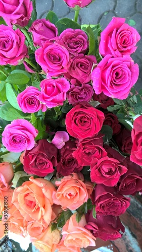 Closeup view of bunch of rose flowers