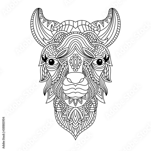 Llama head coloring book illustration. Antistress coloring for adults. black and white lines. Print for t-shirts and coloring books.