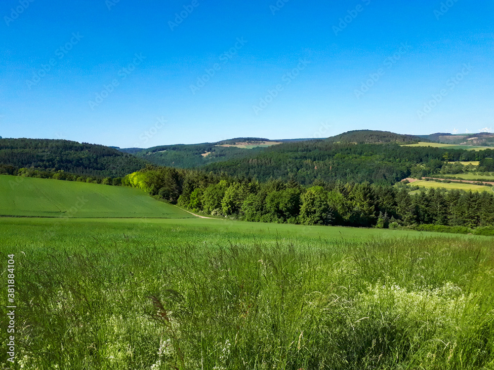 A beautiful view of fresh green field and blue sky at daytime in the valley Taubertal, Germany with copy space A beautiful view of fresh green field and blue sky at daytime in the valley Taubertal, Germany with copy space