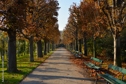 Burggarten park in autumn in sunlight, Vienna Austria