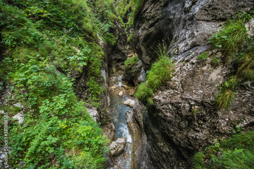deep narrow gorge with green plants