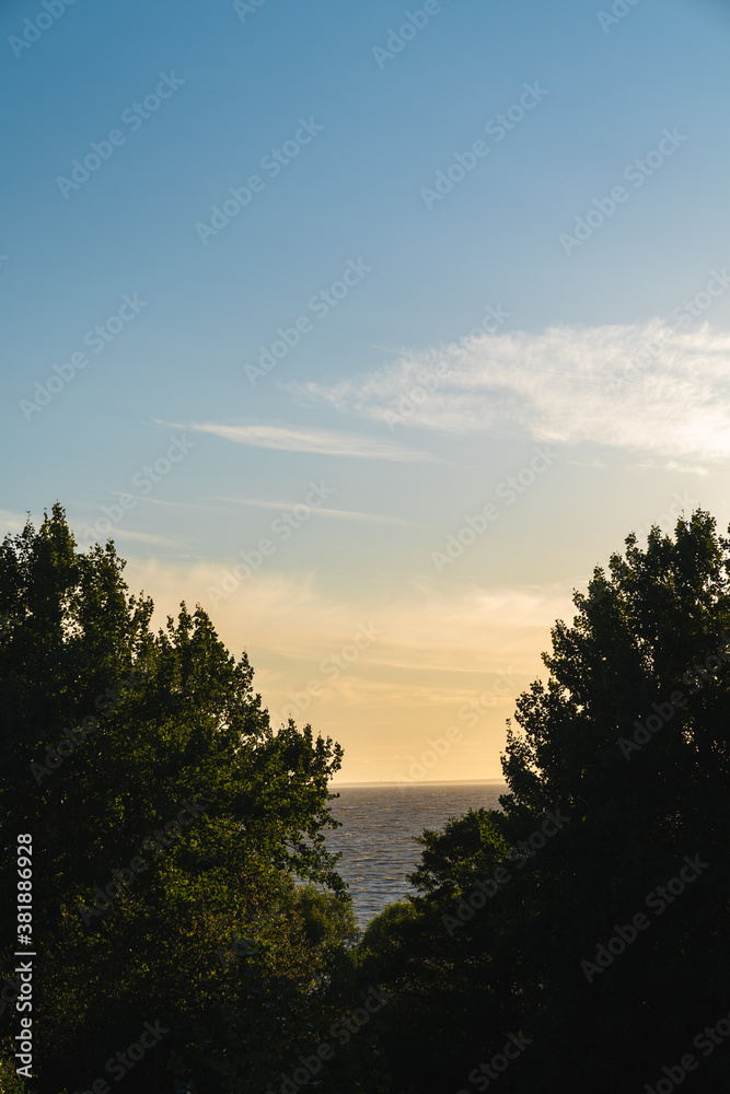 Beautiful sunset sky on the beach. The sea and sky are visible between two green trees. Beautiful scenery. Vertical photo