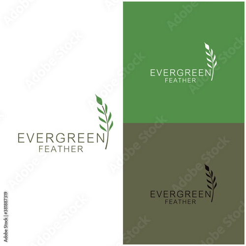 Feather Plume cedar, cypress, larch, spruce, pine, pinus, evergreen, coniferous, conifer, fir, hemlock tree forest logo design