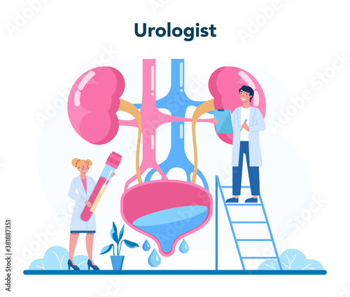 Urologist concept. Idea of kidney and bladder treatment, hospital
