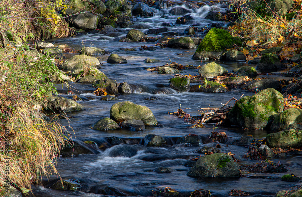 Autumn foliage in the brook. Autumn creek with fallen colorful leaves. The Water cascade in rivulet with rocks. Autumn foliage in the brook. Autumn creek with fallen colorful leaves. The Water cascade in rivulet with rocks.