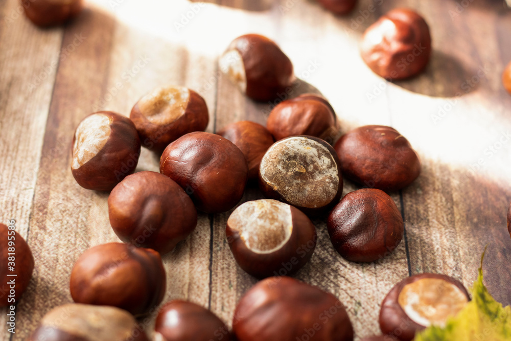 Chestnuts on the table in different dishes. And there are leaves nearby.
Chestnuts on the table in different dishes. And there are leaves nearby.