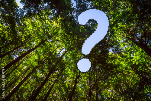 Wuestion Mark in the Forest