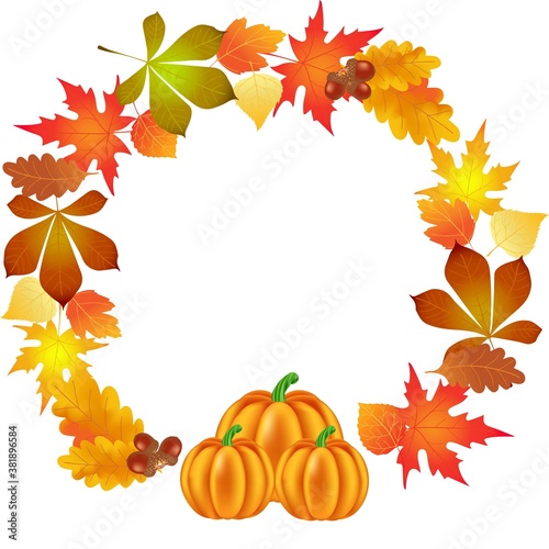 autumn leaves, pumpkin, circle background, illustration, vector,