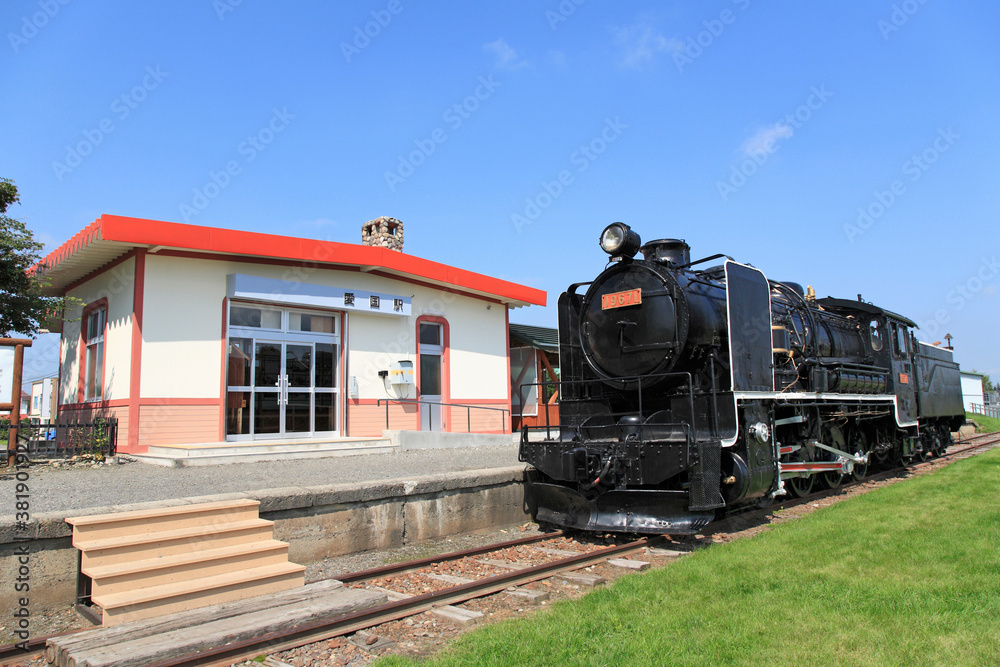 Obraz premium 愛国駅とＳＬ