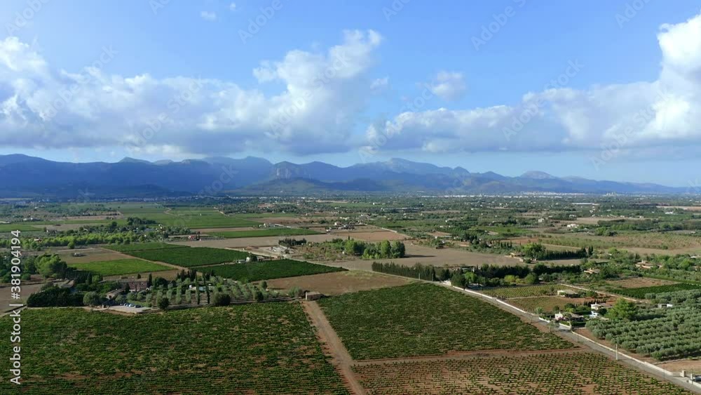 Aerial view, flight at agriculture with olives and fields around santa Eugenia and Santa Maria, center of the island, Mallorca, Balearic Islands, Spain Aerial view, flight at agriculture with olives and fields around santa Eugenia and Santa Maria, center of the island, Mallorca, Balearic Islands, Spain
