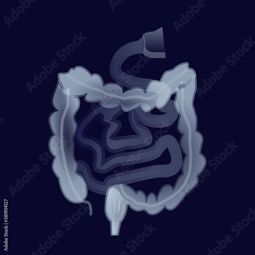 Human intestines. Internal organs on a dark background. Vector illustration