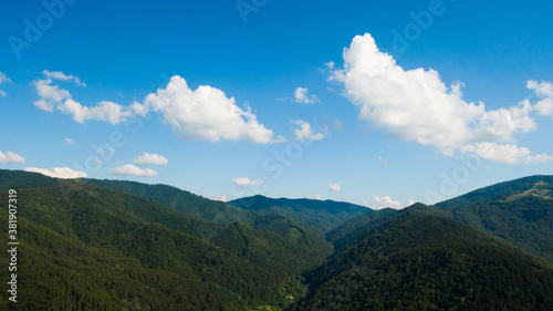Carpathian Mountains covered by green pine forests, Ukraine