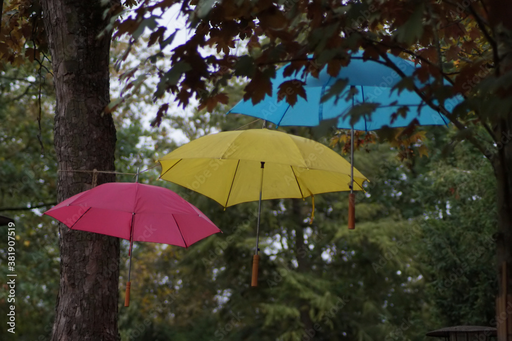 Drei farbige Regenschirme