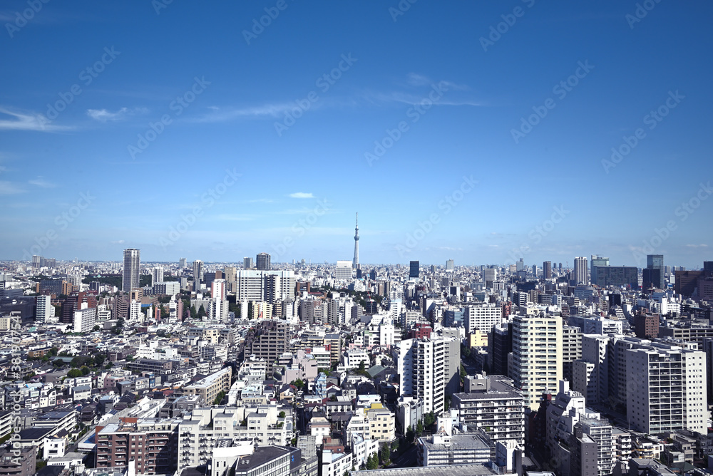 Fototapeta premium TOKYO SKY TREE