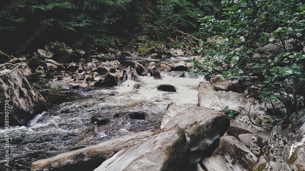 Calming Stream Calming Stream