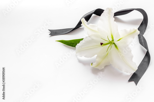 Canvas Print Funeral symbols. White lily with black ribbon, top view