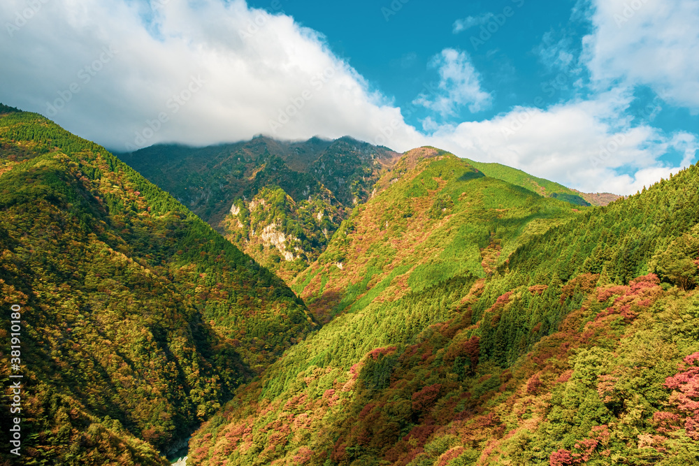 【徳島県 三好市】祖谷渓からみる秋の山の自然風景
