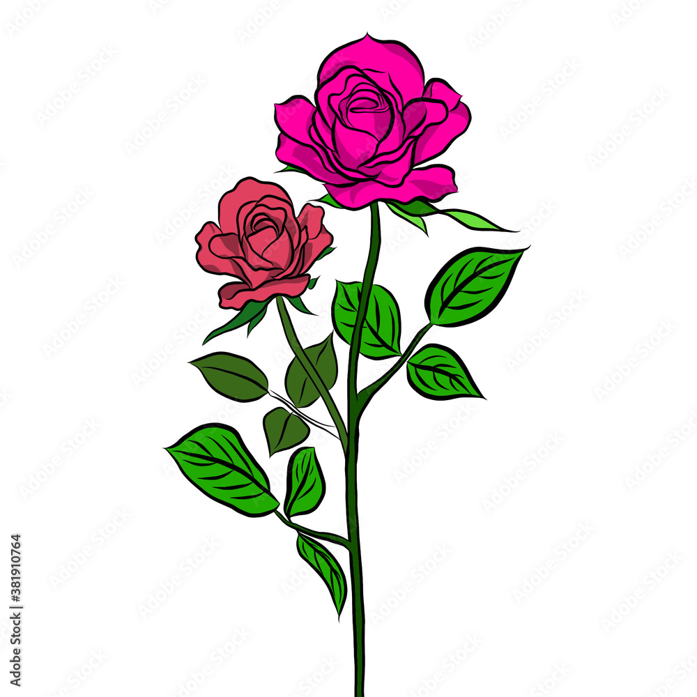 Obraz premium Beautiful rose bouquet flowers and green leaves growth on white background,hand drawn,creative with illustration in flat design.Floral pattern,decorative series for wallpaper.Valentine day concept.