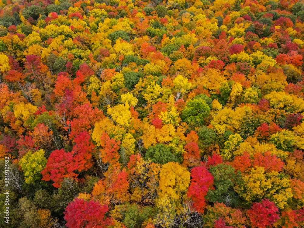 Aerial view of beautiful fall foliage in Ontario, Canada Aerial view of beautiful fall foliage in Ontario, Canada