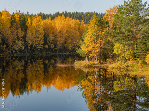Golden autumn in Karelia, northwest of Russia. Green, red and yellow trees on the bank of the river