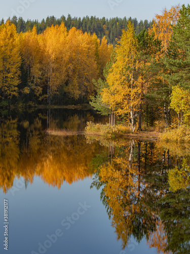 Golden autumn in Karelia, northwest of Russia. Green, red and yellow trees on the bank of the river © Igor Podgorny