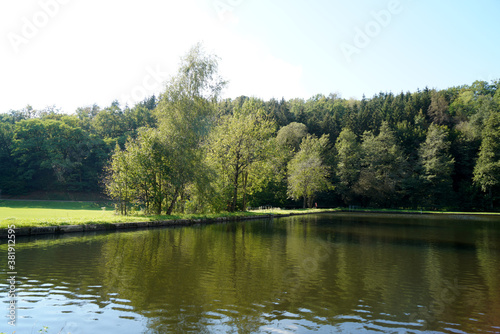 lake in the park