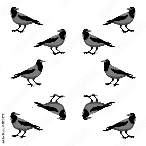 Seamless ornament pattern with gray crows