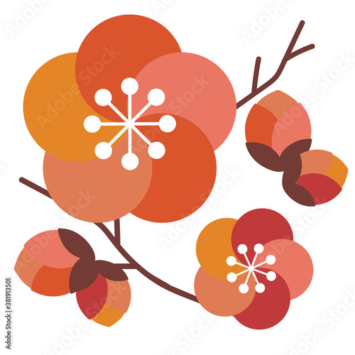 かわいい梅の花のイラスト