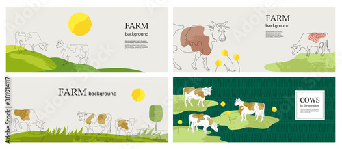 Horizontal backgrounds. Cows in the pasture. Cows are drawn in one line. Set of backgrounds.