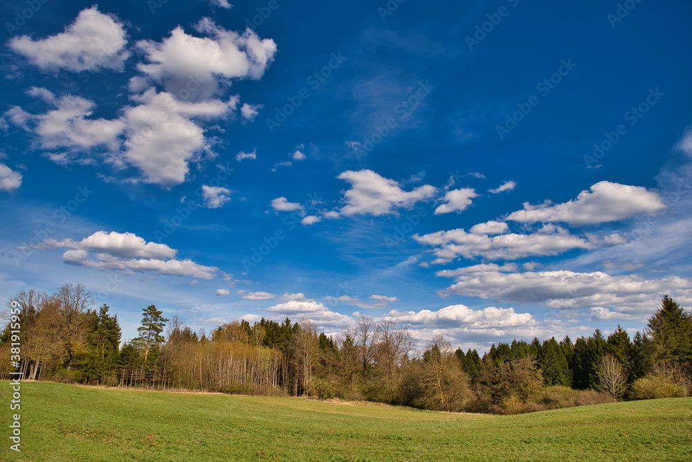 Waldlichtung im Herbst Waldlichtung im Herbst