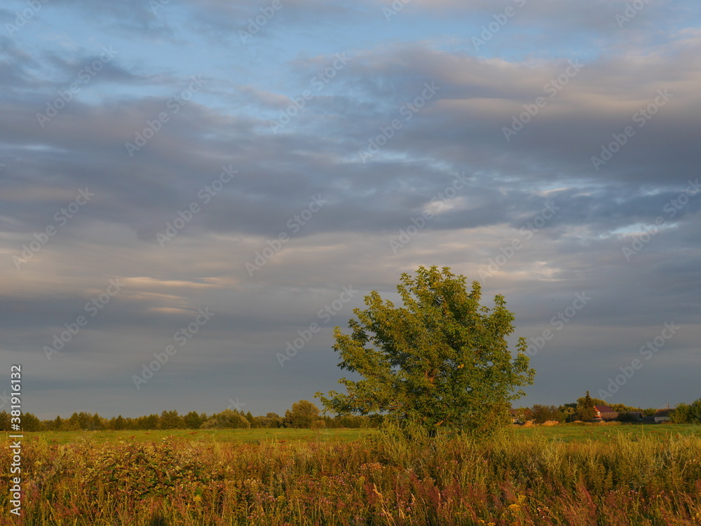 Fototapeta premium rural landscape with sky and clouds