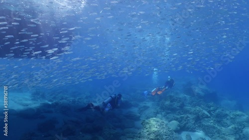 Wallpaper Mural scuba divers exploring the reefs and underwater with rocks ocean scenery enjoying topography mediterranean sea Torontodigital.ca