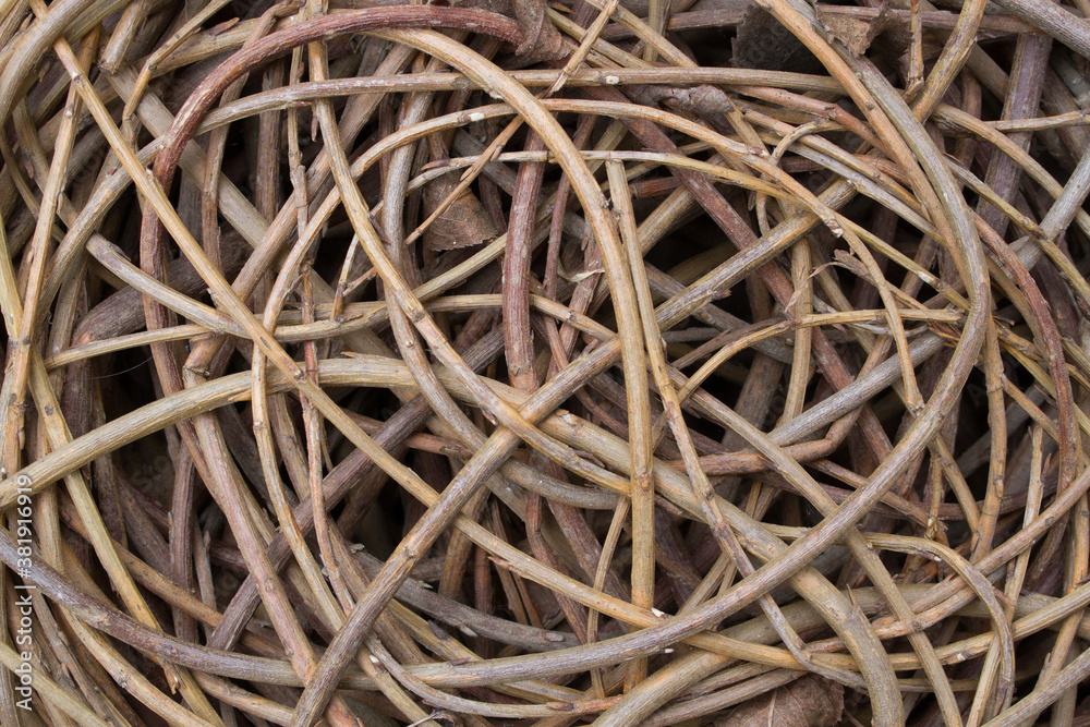 weaving wicker willow twig background close up
