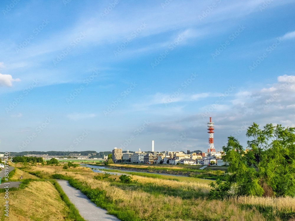 河川敷の景色