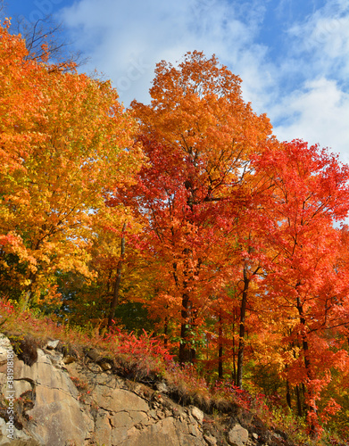 Fall landscape eastern townships Bromont Quebec province Canada