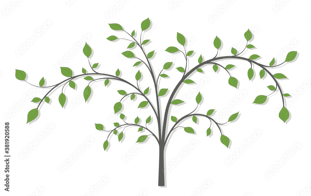 A blooming tree with branches and green leaves on a white background A blooming tree with branches and green leaves on a white background
