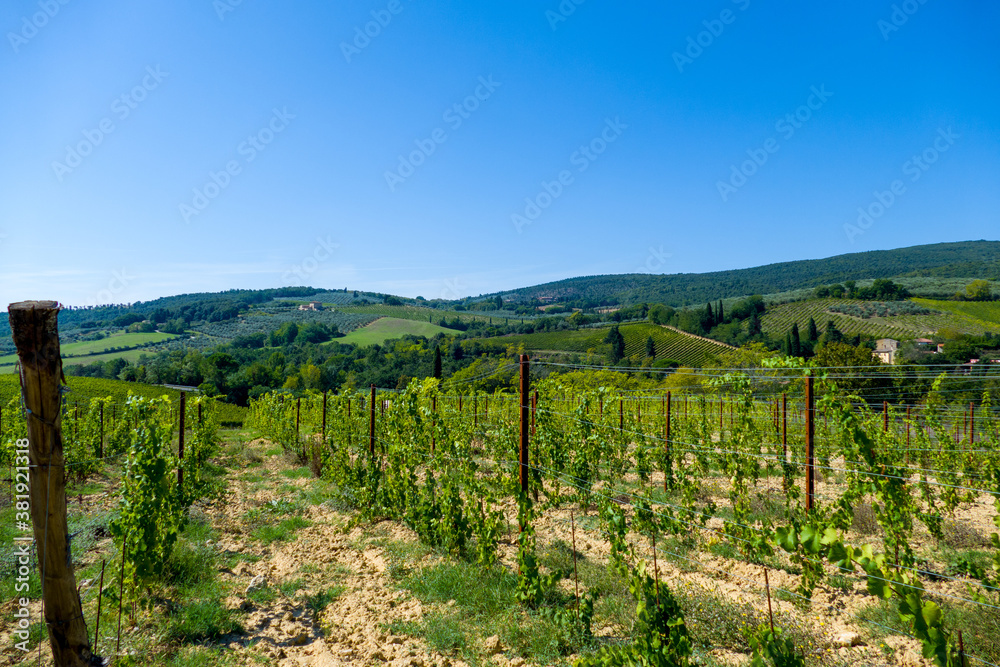 Landscape panorama from Tuscany, in the Chianti region. Italy.