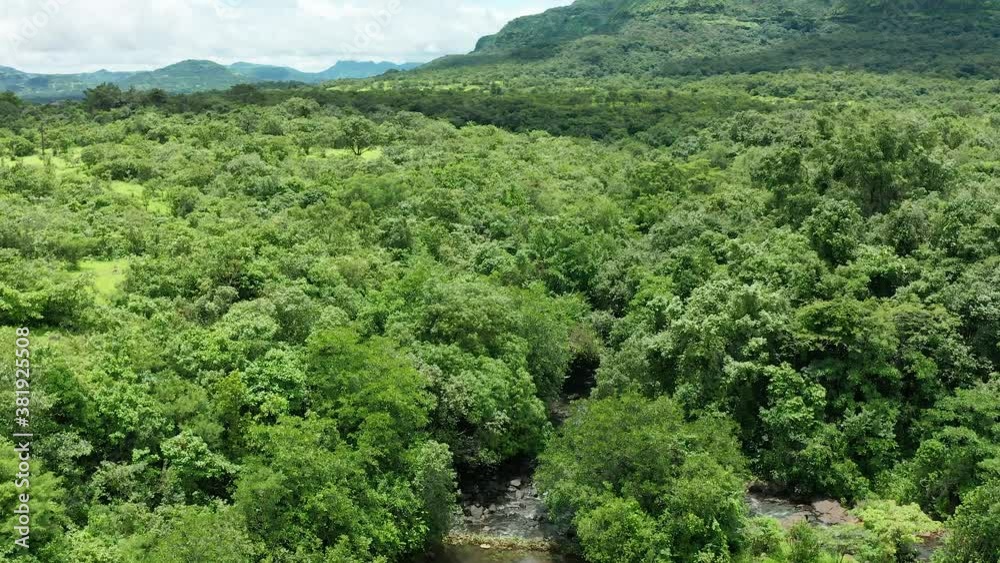 Pristine Jungle stream enters into a thick evergreen forest of the Western Ghats Pristine Jungle stream enters into a thick evergreen forest of the Western Ghats