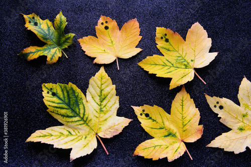 Autumn leaves with emoticons on a dark background.