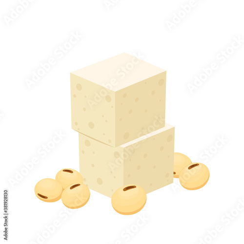 Tofu and Soybean vector. free space for text. ingredient vector.
