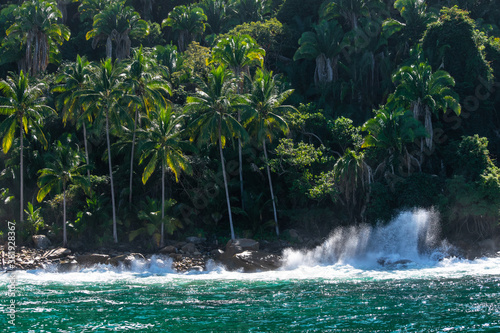 Fototapeta Naklejka Na Ścianę i Meble -  Landscape of coconut palm tree on tropical beach in summer, Beautiful contrast with the waves and the mountains, Puerto Vallarta. Jal. Mex. 