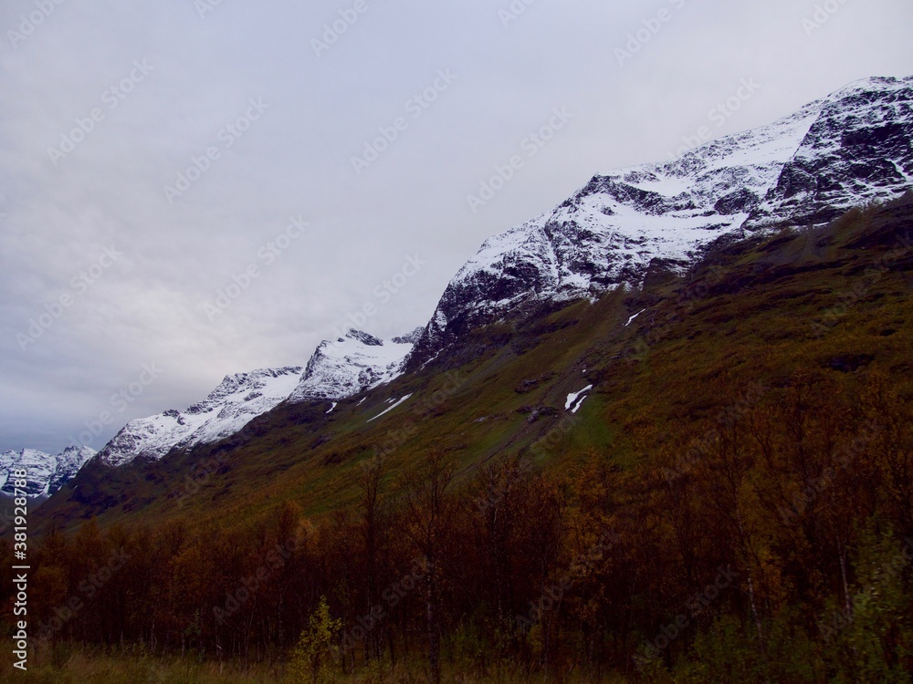 Fototapeta premium Scenic road in Norway on autumn day