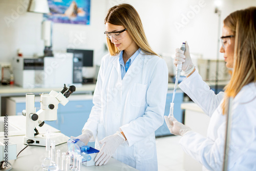 Female researchers in white lab coat working in the laboratory