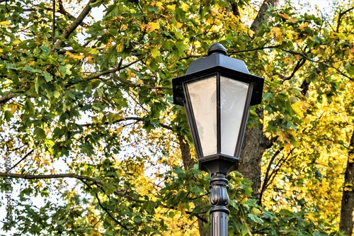 Black vintage lantern on a background of autumn foliage.