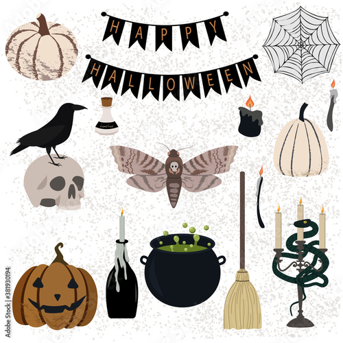 Vector set of mystic Halloween illustration. Stylish gothic elements: witch broom, couldron, candles, potions, snake, pumpkins, jack-o-lanterns, crow, scull, spider web, moth and other. 