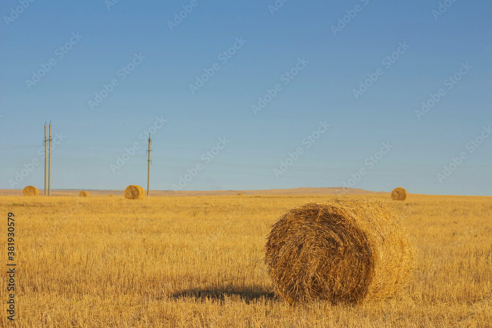 Hay bale. Haystack on rural nature on farmland, straw in the meadow