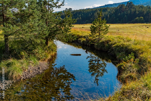 Crni Rzav river on Zlatibor mountain in Serbia